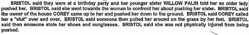 Illustration for article titled Juicy Scenes From the Police Report on the Palin Family Throwdown